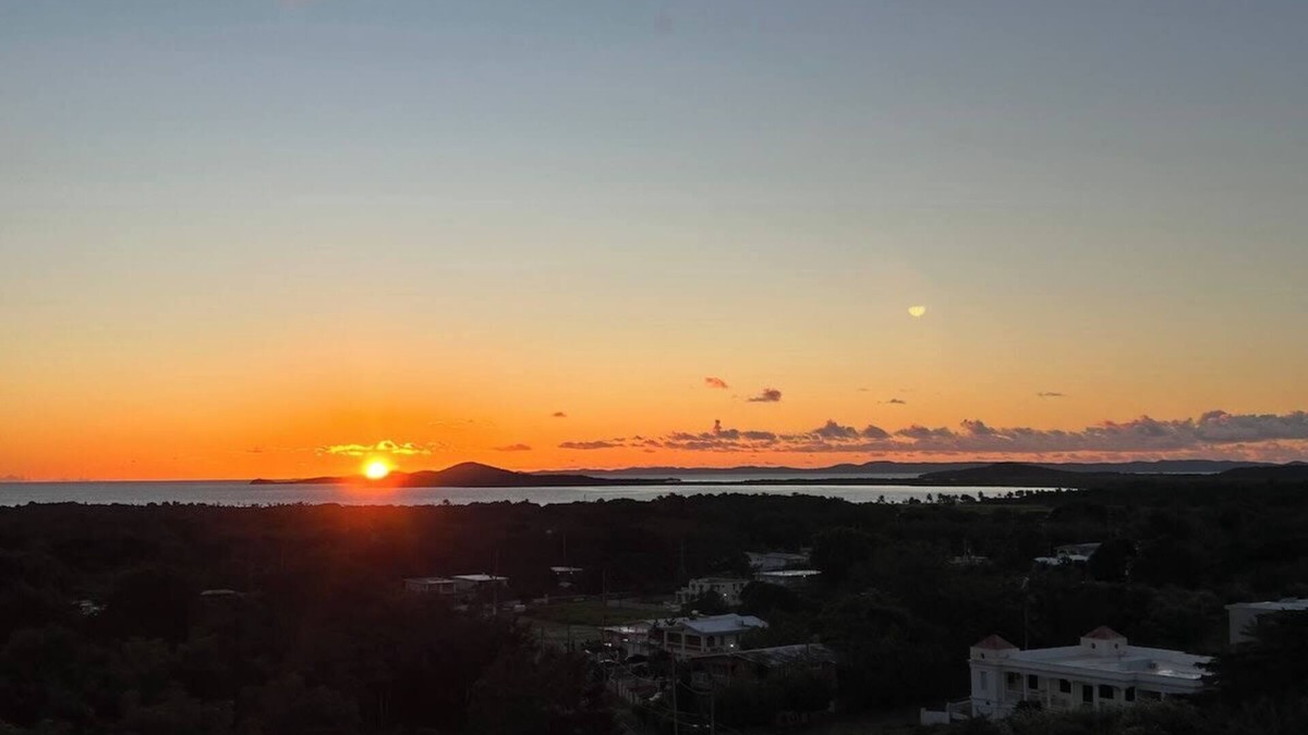 Machos Condo | Marbella | PH Rooftop Oasis in Costa Brava, Ceiba