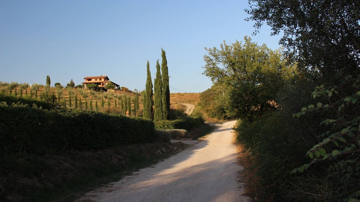 Campagnatico House | MAREMMA WHAT A VIEW! - CIN EN053002C2OA855DZE