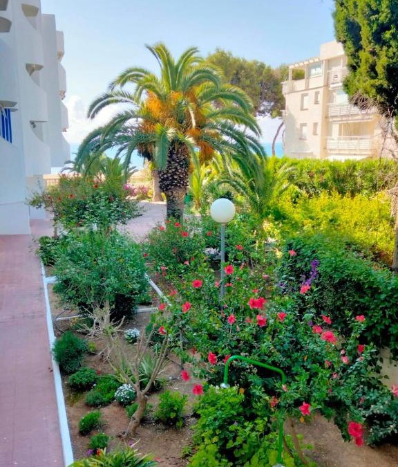 Alcossebre Apartment | Margaritas