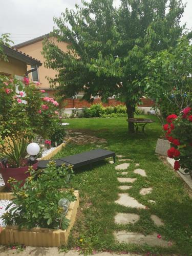 Laragne-Monteglin Bed & Breakfast | Margaux