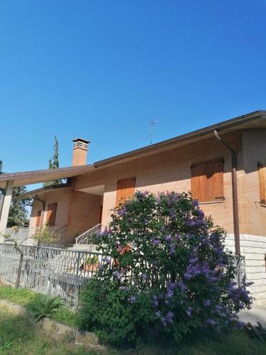 Urbino House | maria antonietta