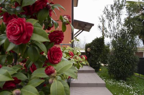 Grassobbio Apartment | Marina Apartments 1