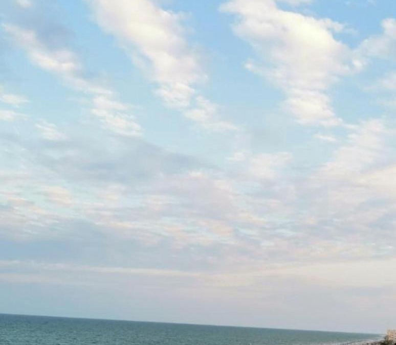 Sohar Hotel | Marina H