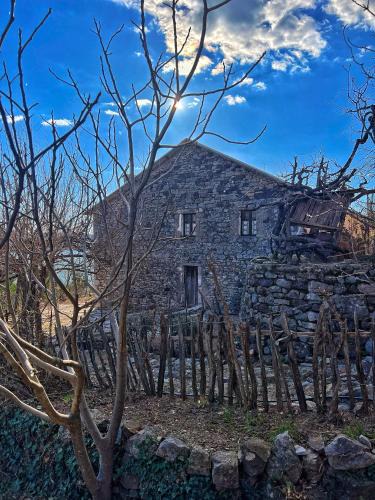 Sakës House | Mark Toma Guesthouse