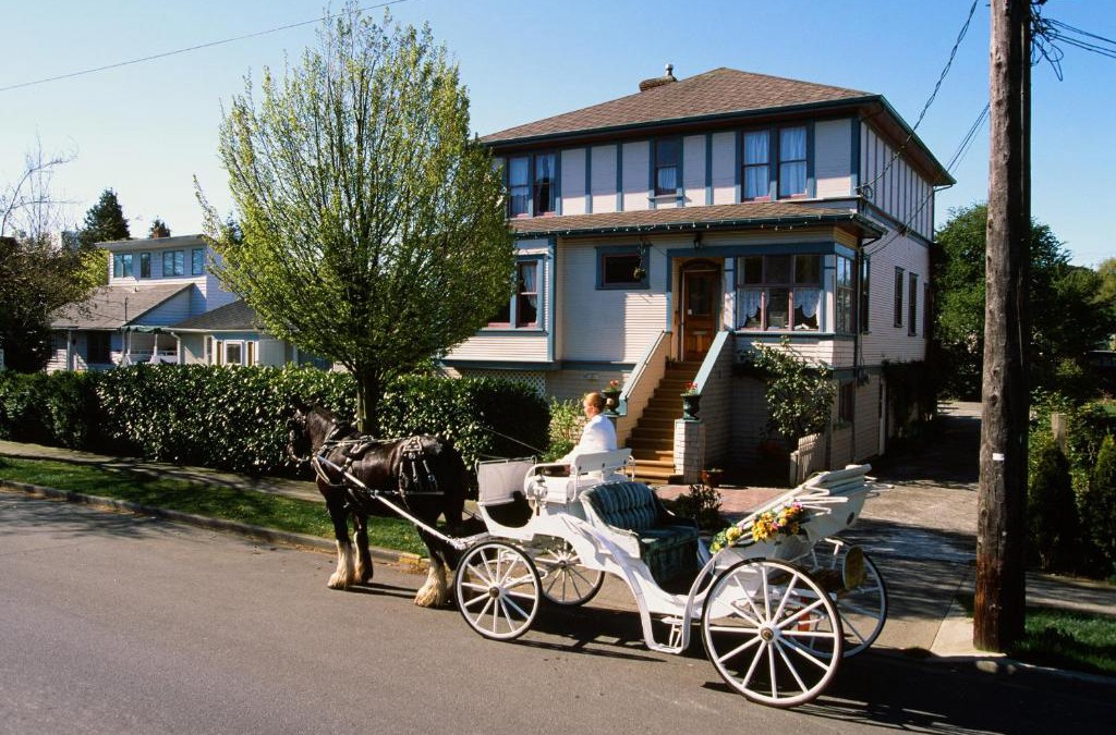 James Bay Bed & Breakfast | Marketa's Bed and Breakfast