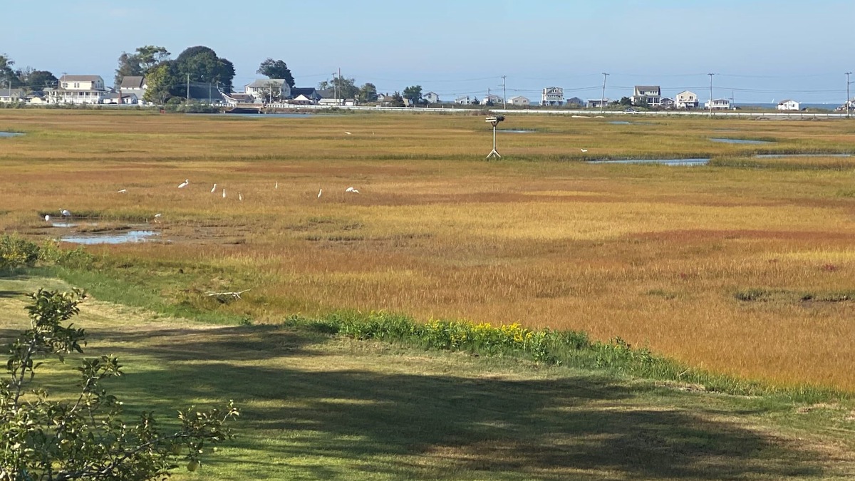 Old Saybrook House | Marsh View Home!