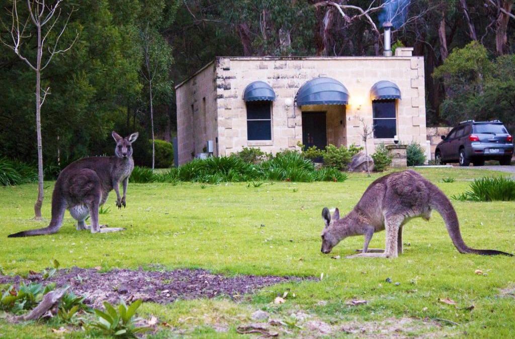 Halls Gap Resort | Marwood Villas