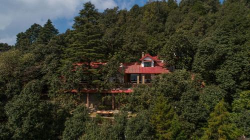 Binsar Resort | Mary Budden Estate