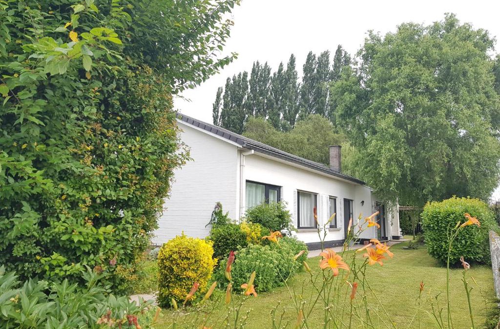 Templeuve Bed & Breakfast | Mary's Poppies - Bed & Breakfast
