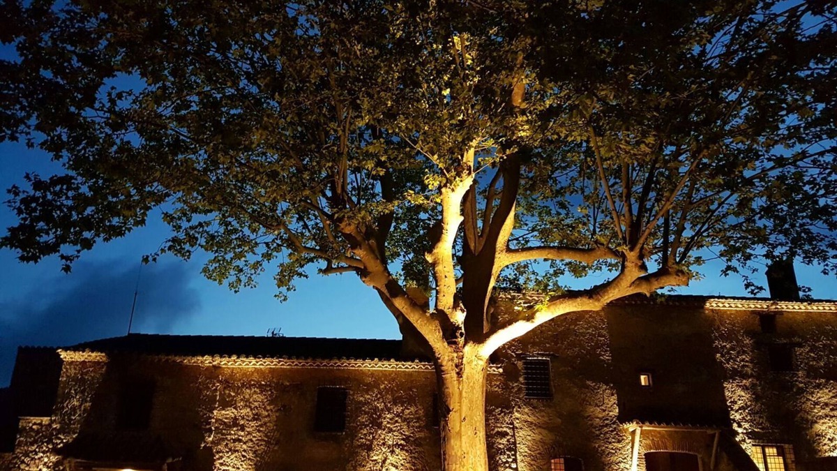 L'Albiol Hotel | Mas del Sord 1335