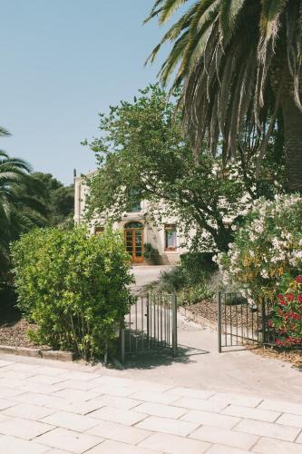 El Pla del Penedes Villa | Mas Palou