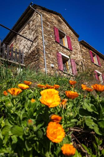 Saint-Michel-de-Deze Bed & Breakfast | Mas Soubeyran
