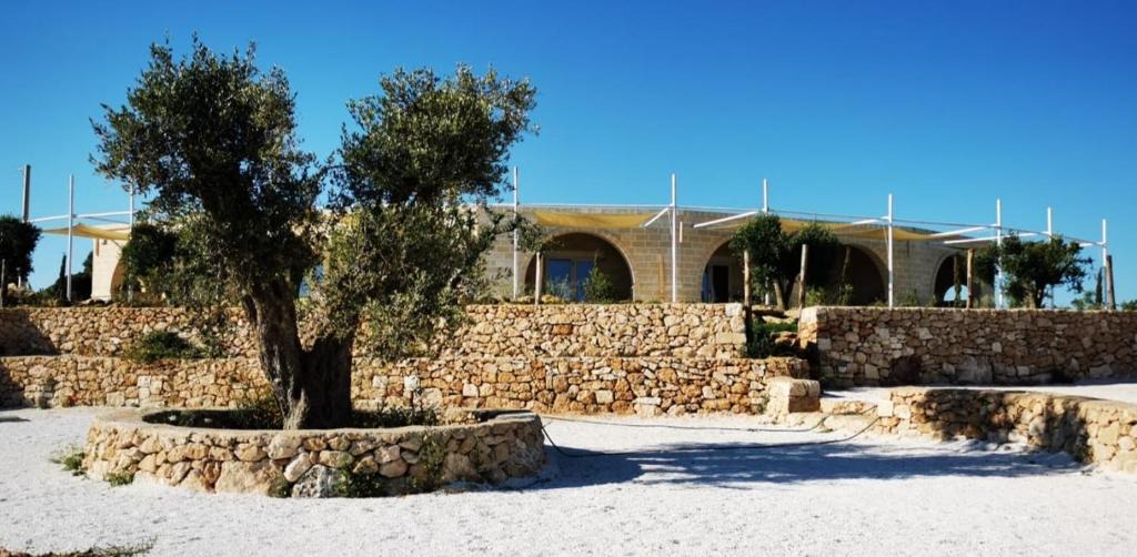 Manduria House | Masseria a libeccio