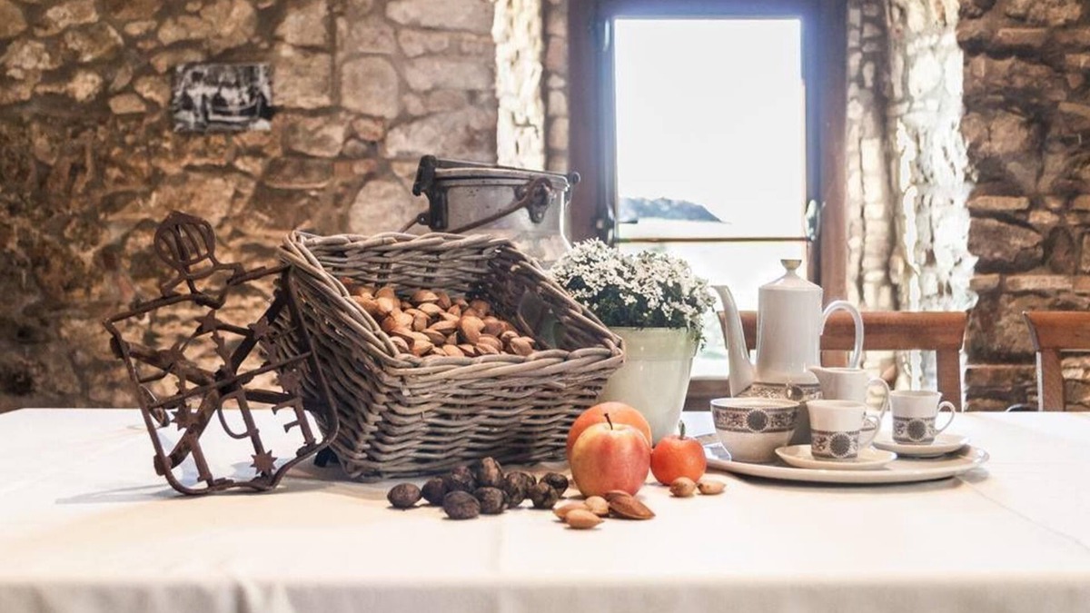 Bovino Other | Masseria Salecchia