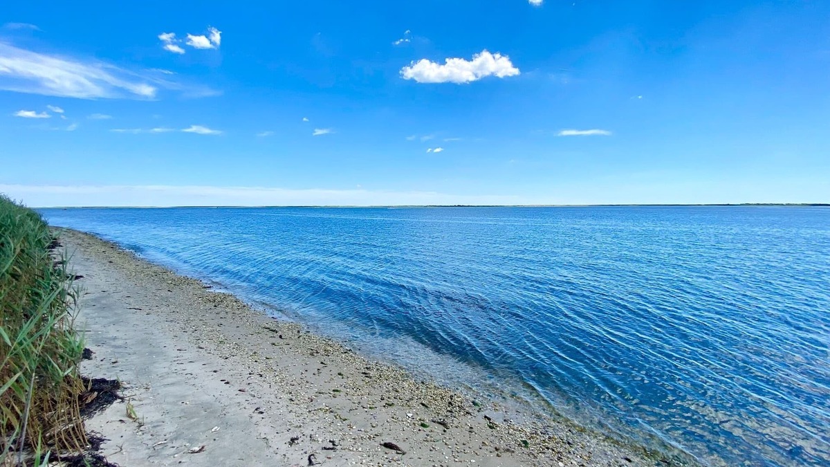 Mastic Beach House | Mastic Beach Surf House