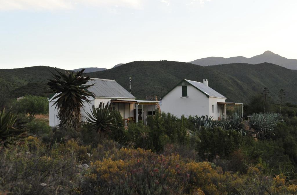 Calitzdorp House | Matjiesvlei Guestfarm