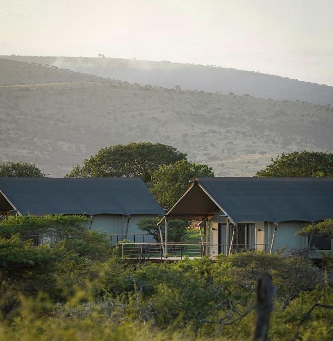 Mkuze Other | Mavela Game Lodge