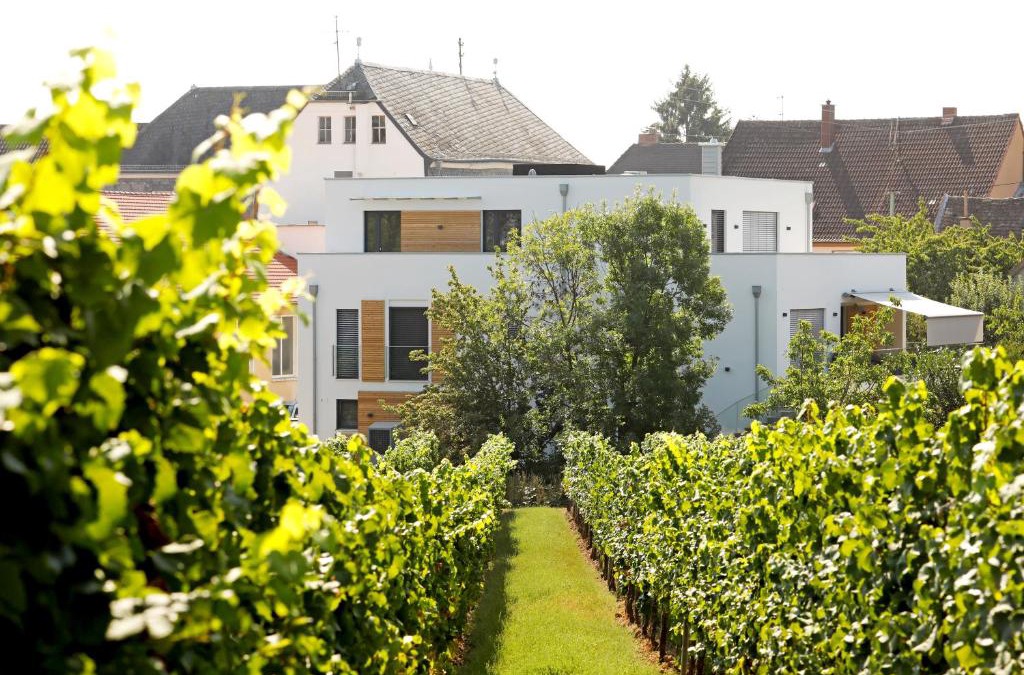 Edenkoben Apartment | Maximilians Domizil Edenkoben