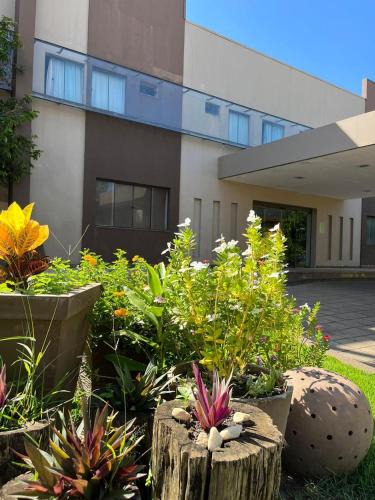 Ji Parana Hotel | Maximus Business Hotel