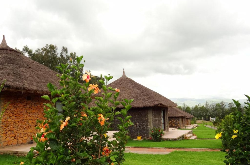 Amhara Region Cabin | Mayleko Lodge