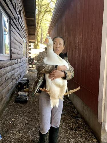 Los Gatos Other | Mays Luxury Farmstay