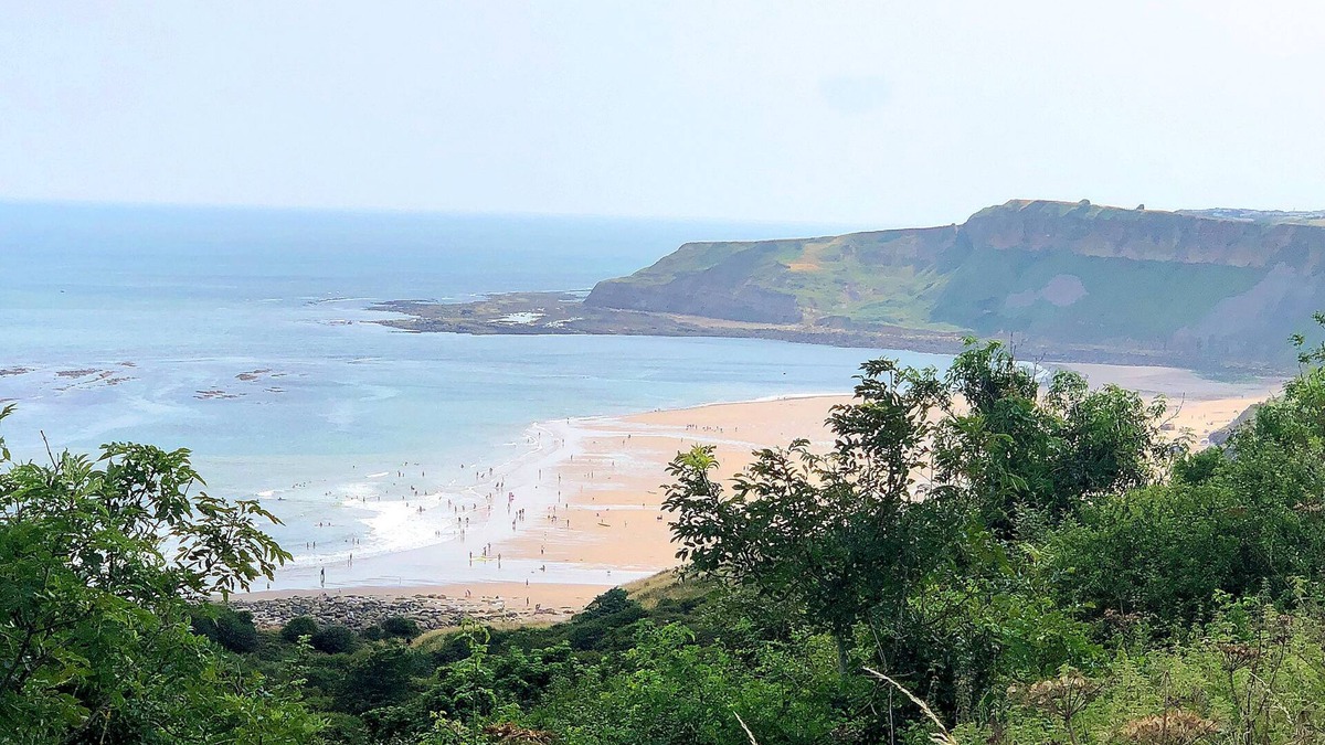 Cayton Bay Cottage | Meadow Lodge