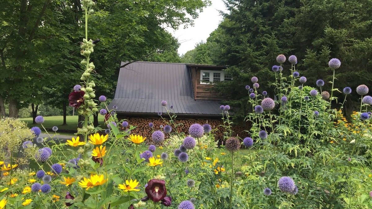Windsor House | Meadow View- 35 Acres outside your door