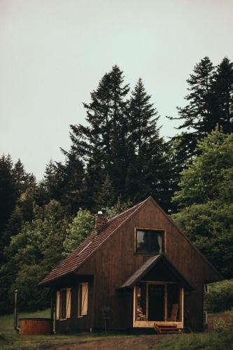 Baligrod House | Mech i brzoza