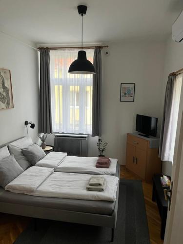 Pecs Apartment | Mecsek Ház