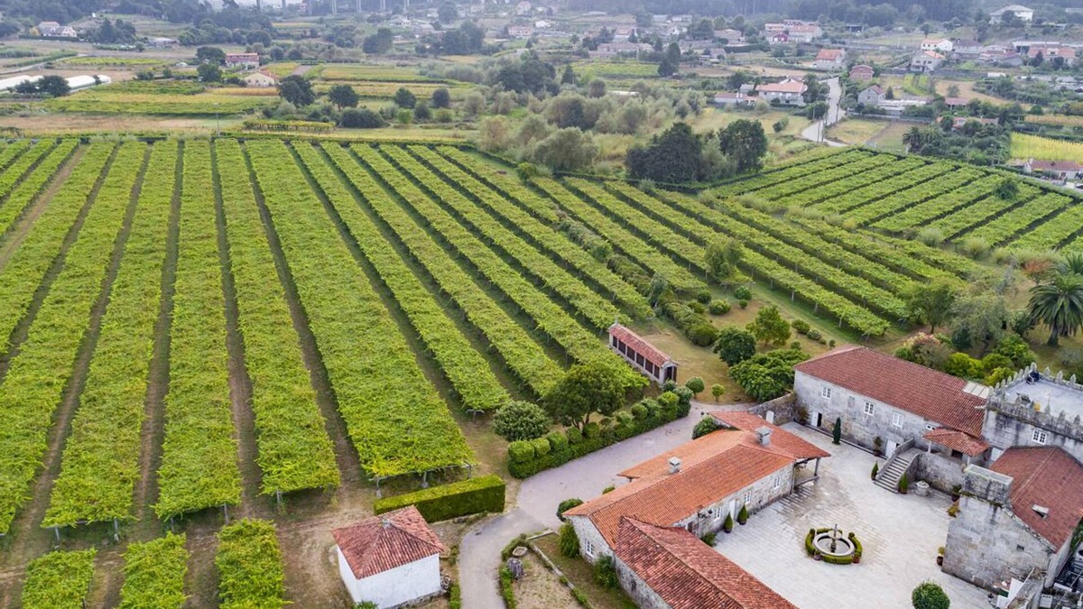 Portas Villa | Medieval manor among vineyards for 12 guests. Large gazebo with barbecue and garden