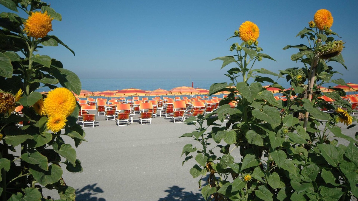 Amantea Hotel | Mediterraneo Palace Hotel