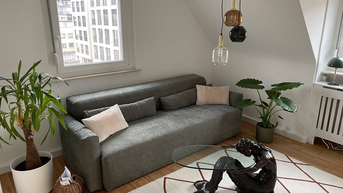Ulm Apartment | Meerjungfrau: stylish 2-room apartment, central, kitchen, bathroom, living room/bedroom