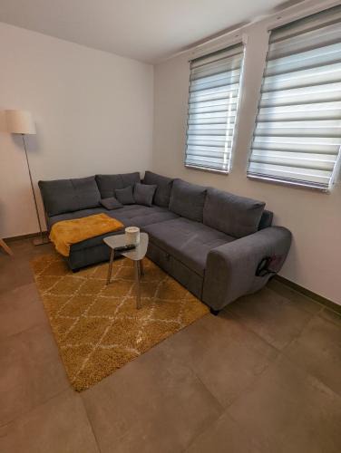 Azmannsdorf Apartment | Meet and Greet am Radfernweg E-Bike Verleih modern 2