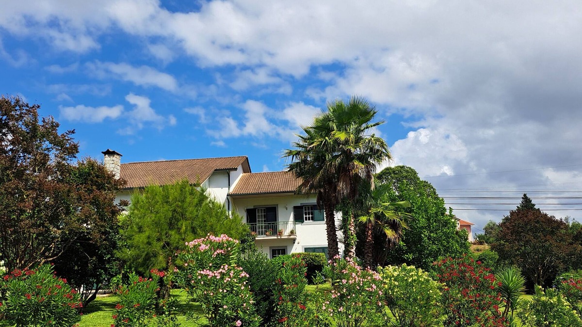 Sao Pedro do Sul House | Meeting Nature!