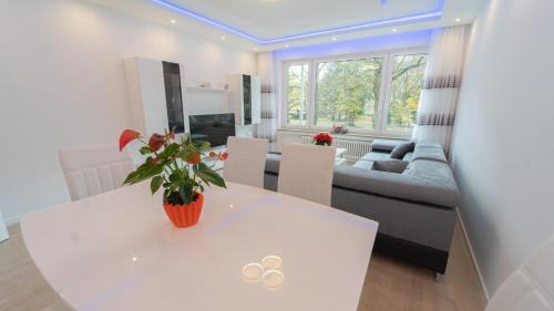 Innenstadt Apartment | Mega Lux Apartment
