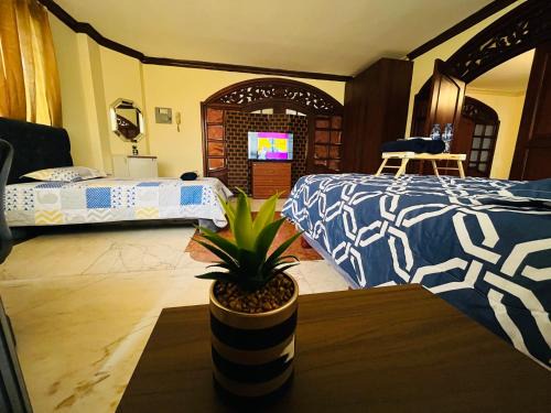 Kennedy Apartment | Mega Suite junto al San Marino Shopping