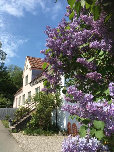Kivik Bed & Breakfast | Mellby 11 Bed & Breakfast