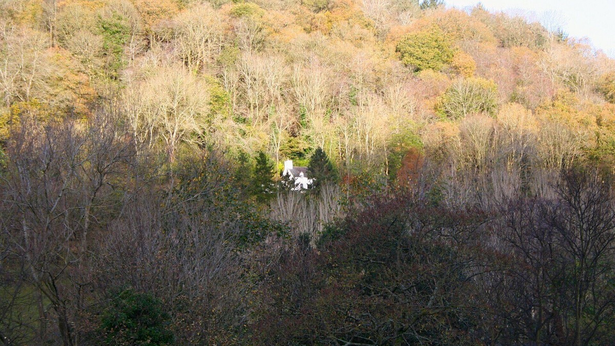 Pontfadog Cottage | Mellow Mountain Eco Retreat exclusive use with Tipi, wood burning Hot Tub, Sauna