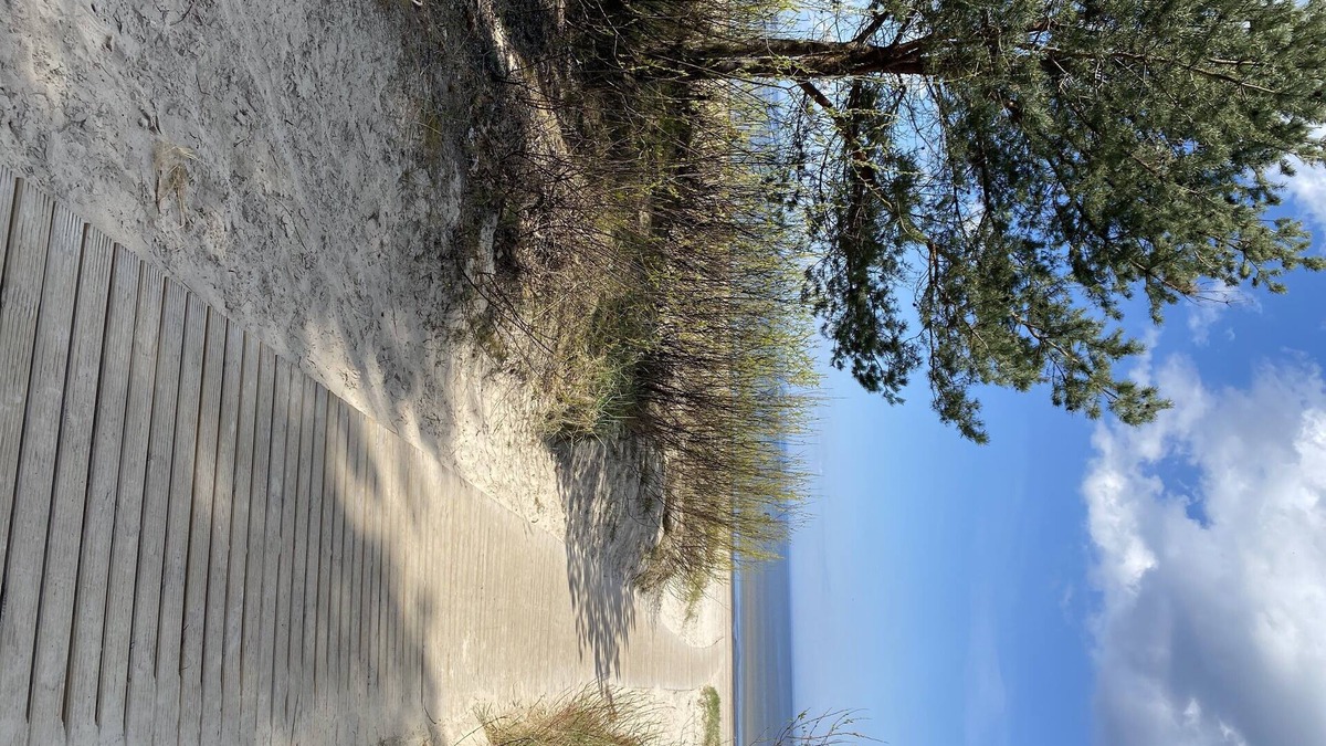 Jurmala Apartment | Melluzi Apartment 15 min from beach