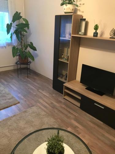 Szolnok Apartment | Menta apartman
