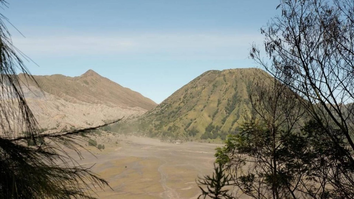 Ngadisari House | Mentigen Homestay Bromo