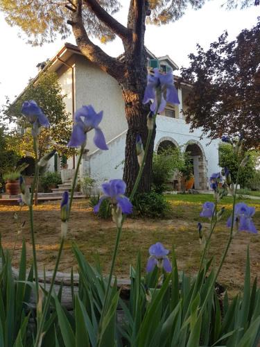 Ascoli Piceno Bed & Breakfast | MeraVilla