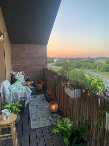 Kuressaare Apartment | Merikotka apartment