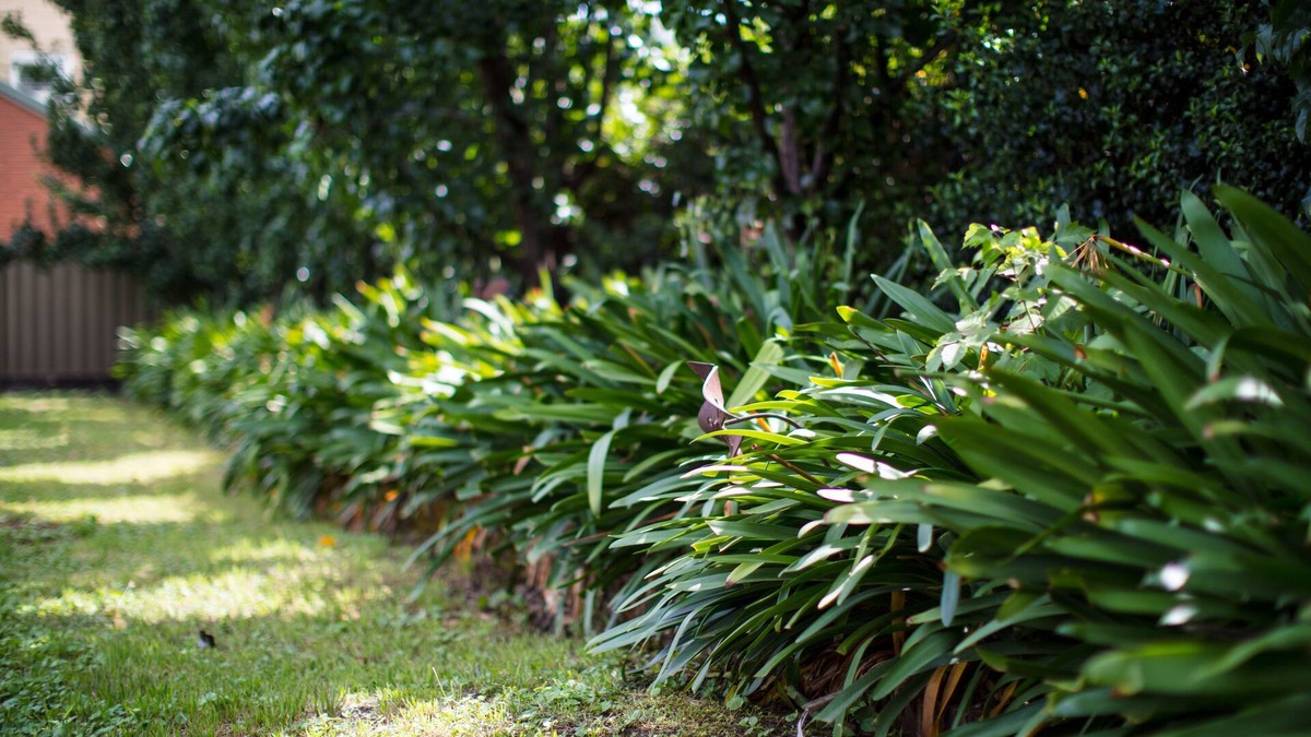 Tumut Hotel | Merivale Motel
