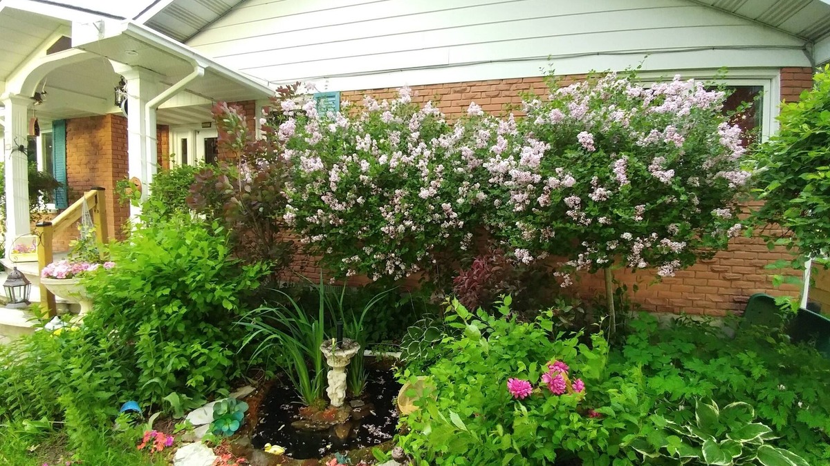 Portland Bed & Breakfast | MERLOT SUNSET-Best BnB value around-BEST BREAKFAST BUFFET included