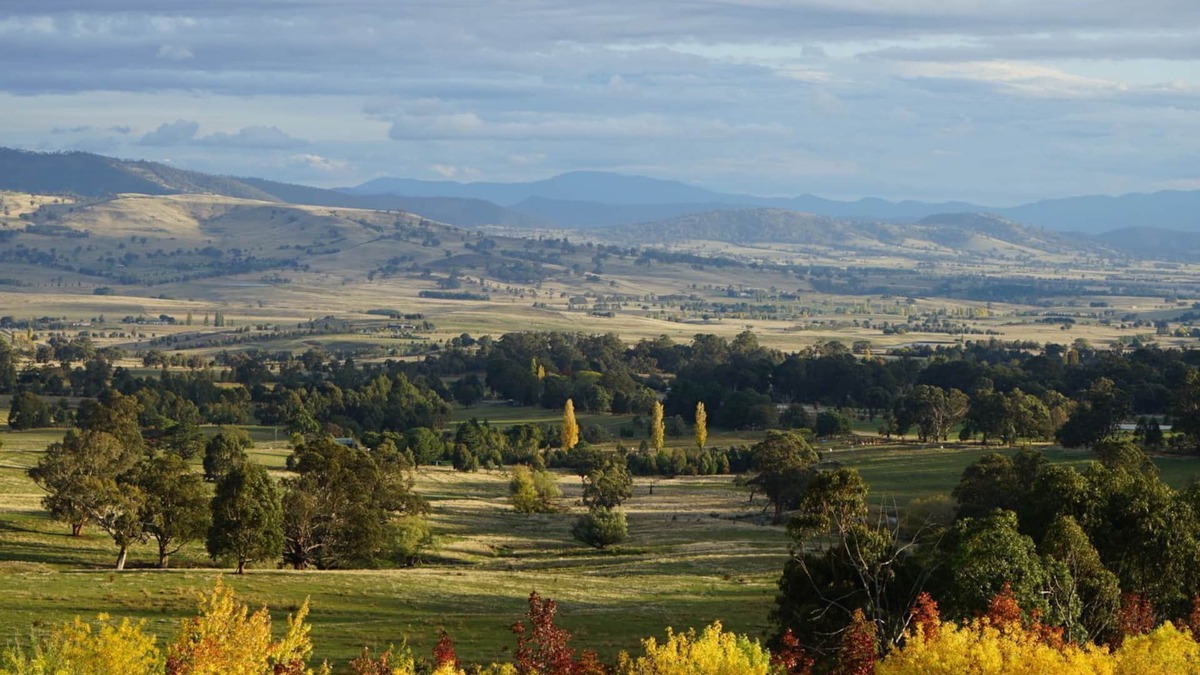 Merrijig Other | Merrimont Downs - Off Mountain Farm Stay