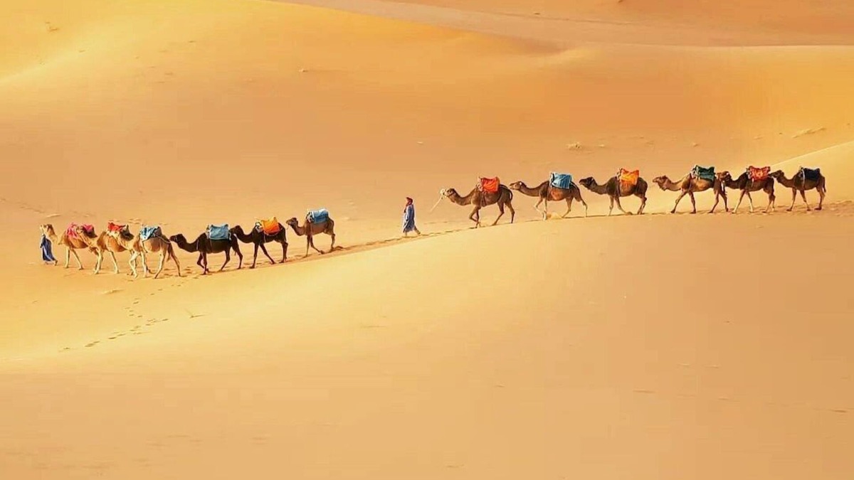 Merzouga House | Merzouga Exotic Luxury Camp Is The Best Location
