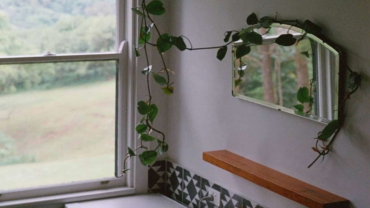 Rosebank House | Mesa Bus - Deluxe Byron Hinterland Eco Stay