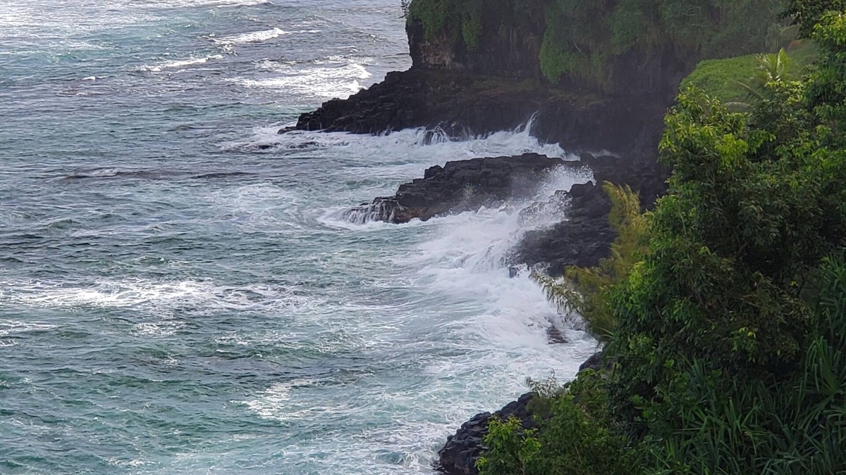 Princeville Condo | Mesmerizing ocean view -Hawaiiana Style walkout unit