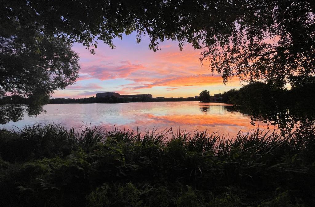 Dutzendteich Apartment | Messeapartment Dutzendteich